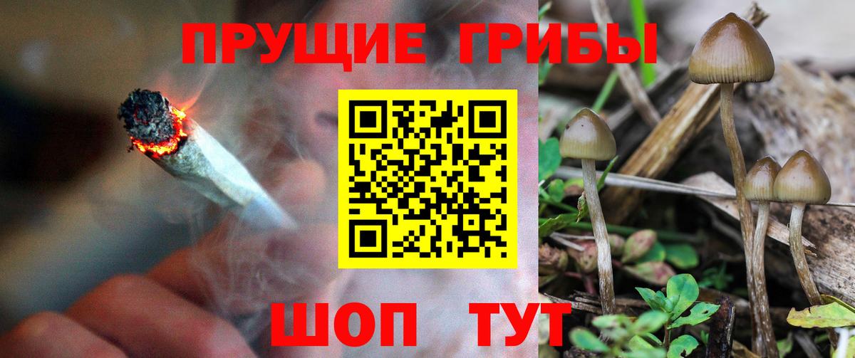 Псилоцибиновые грибы GOLDEN TEACHER Туймазы